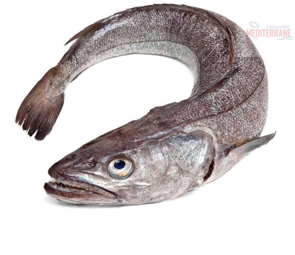 ongezond Regenjas Het is de bedoeling dat Merluza, Kleine heek, c.a 1 kg – vishandelmediterranevof