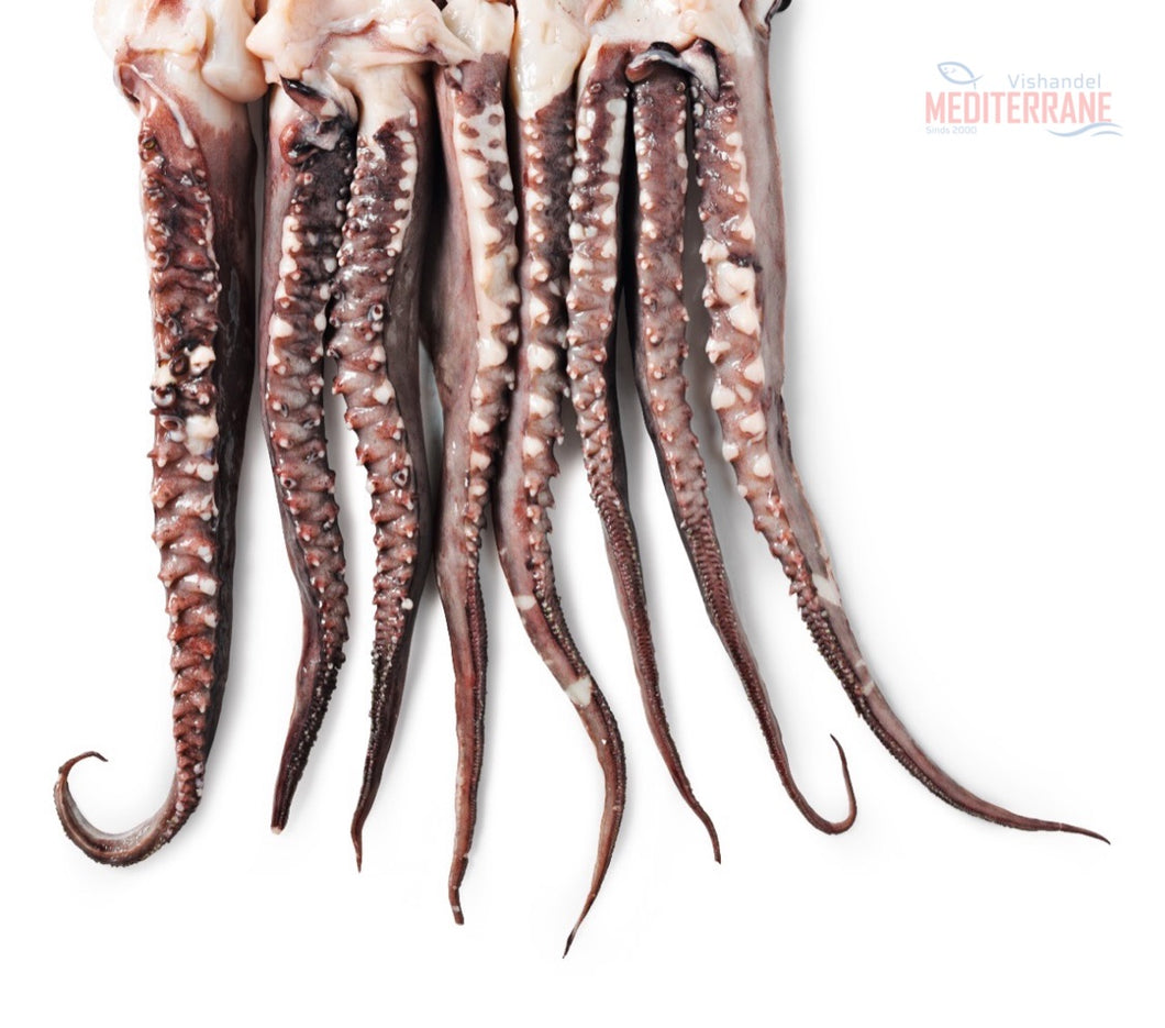 Octopus tentacels